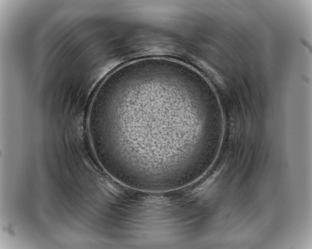 X0000095911170200801181349