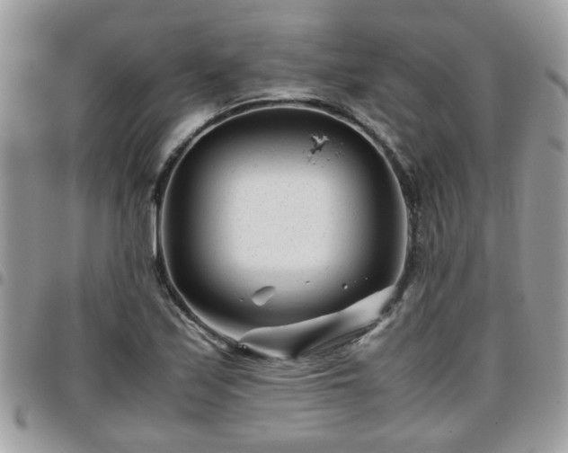 X0000095911171200801181349