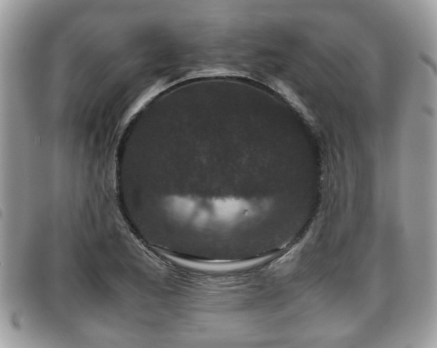 X0000095911173200801181349