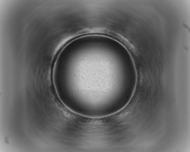 X0000095911174200801181349