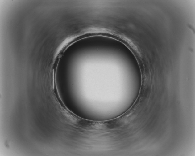 X0000095911175200801181349