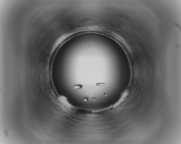 X0000095911176200801181349