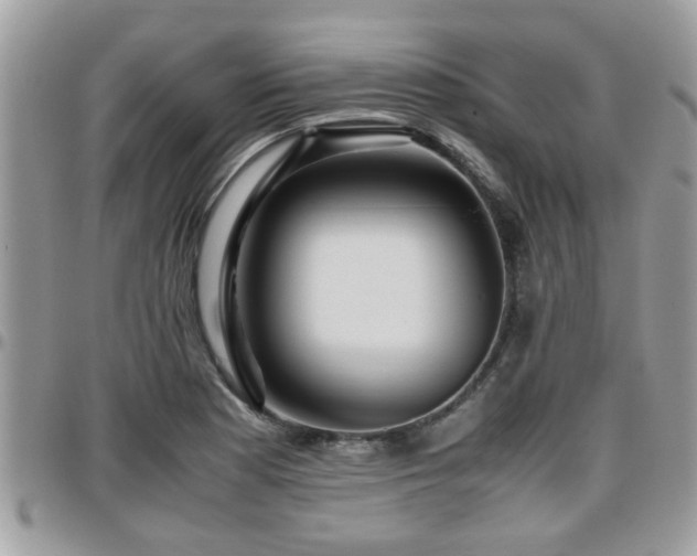 X0000095911177200801181349