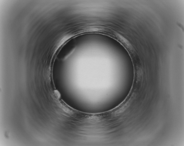 X0000095911178200801181349