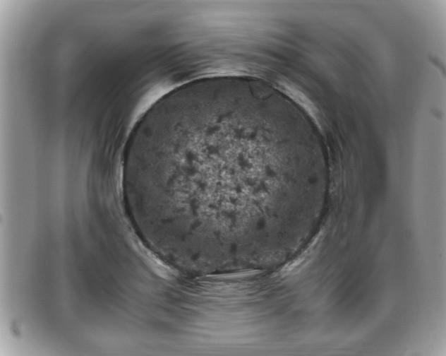 X0000095911179200801181349