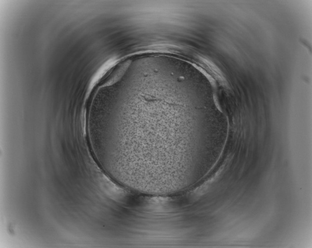 X0000095911180200801181349