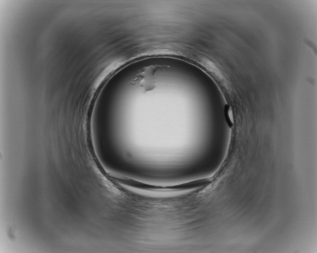 X0000095911181200801181349