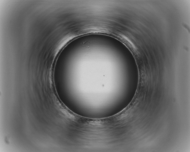 X0000095911182200801181349