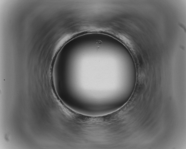 X0000095911183200801181349