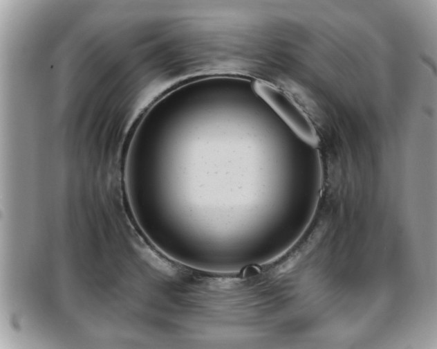 X0000095911184200801181349