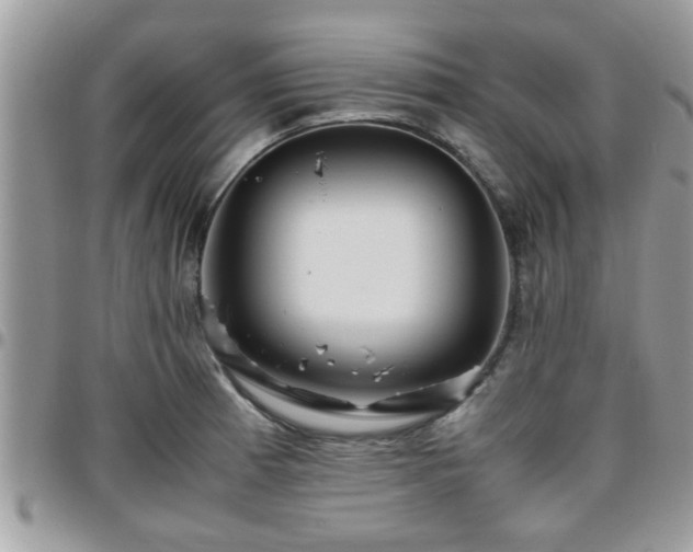 X0000095911185200801181349