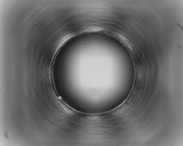 X0000095911186200801181349