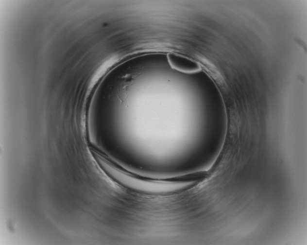 X0000095911188200801181349