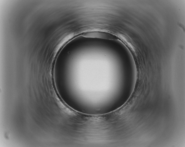 X0000095911189200801181349