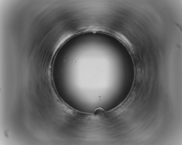 X0000095911190200801181349