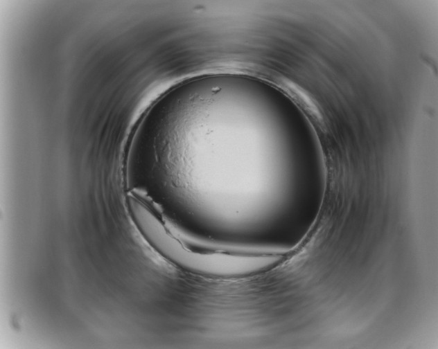 X0000095911192200801181349