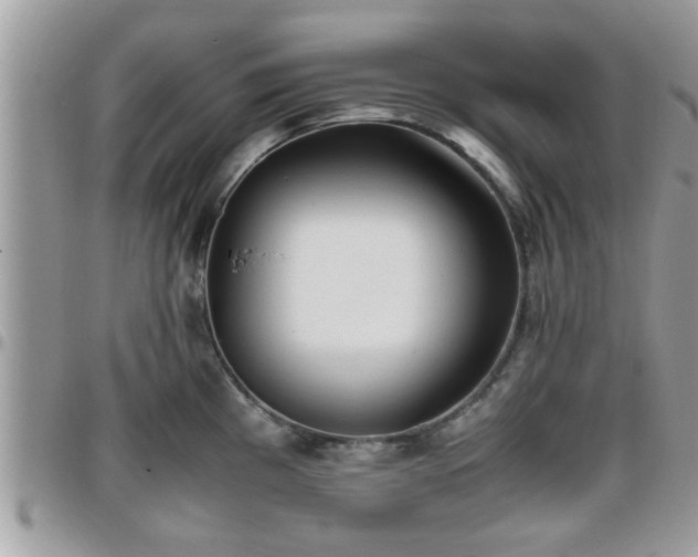 X0000095911193200801181349