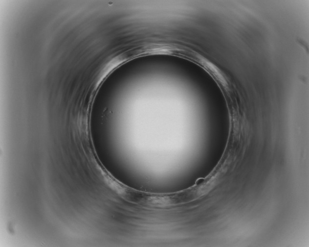 X0000095911194200801181349