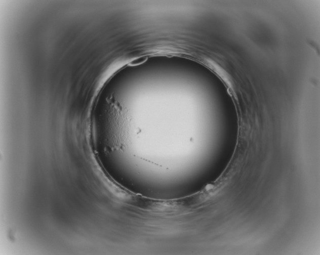 X0000095911195200801181349