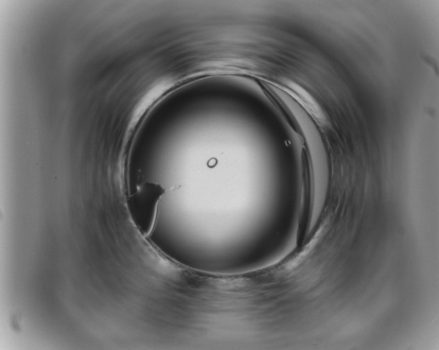 X0000095911196200801181349