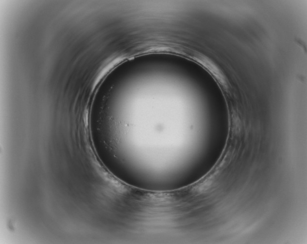 X0000095911198200801181349