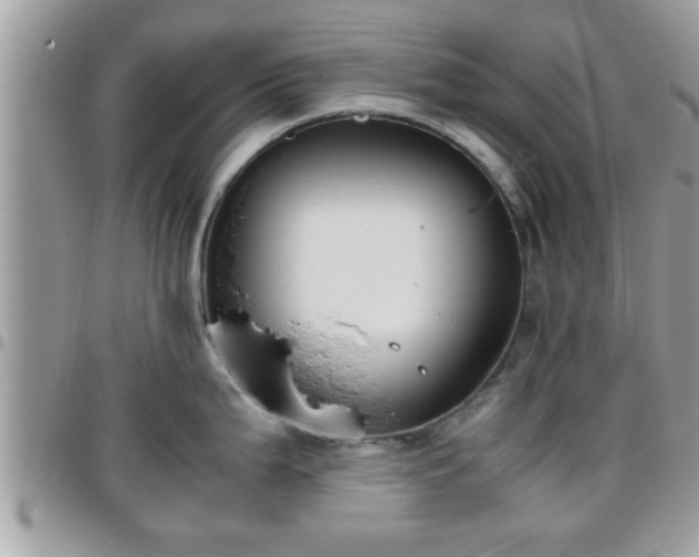 X0000095911199200801181349