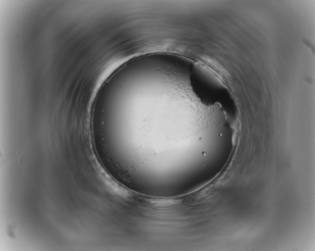 X0000095911200200801181349