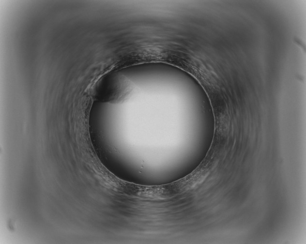 X0000095911201200801181348