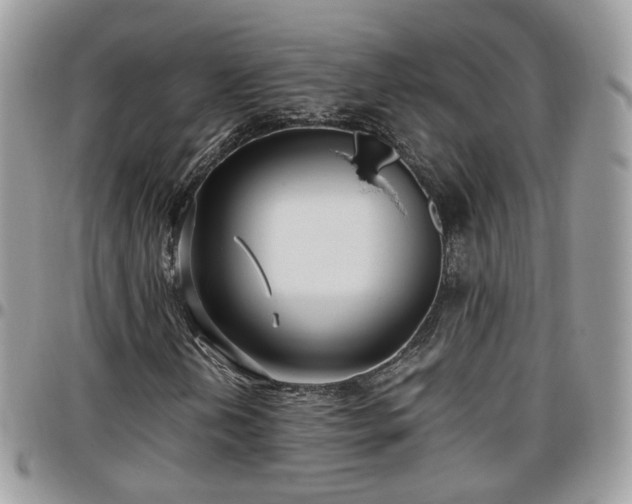 X0000095911202200801181348