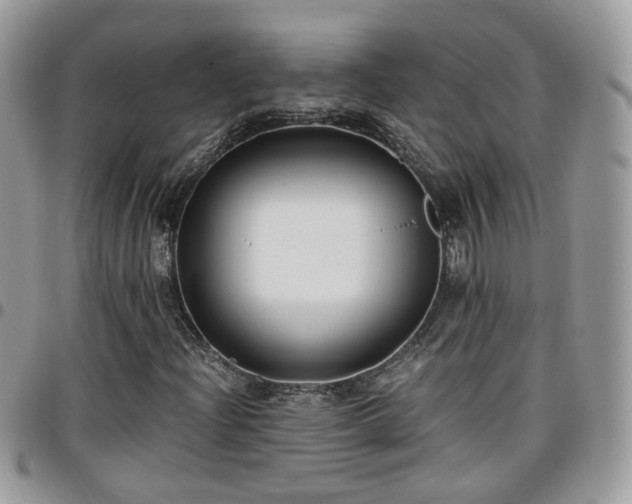 X0000095911204200801181348