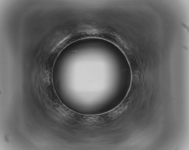 X0000095911205200801181348