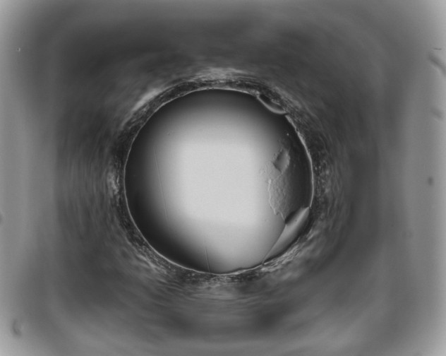 X0000095911206200801181348