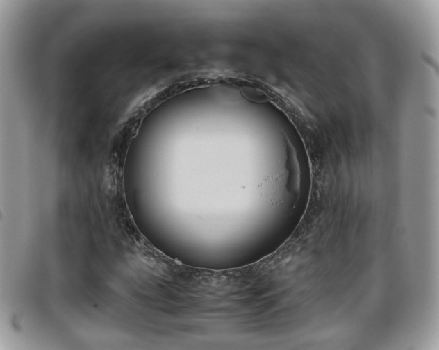 X0000095911207200801181348