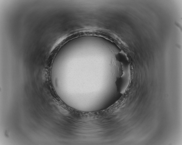 X0000095911208200801181348