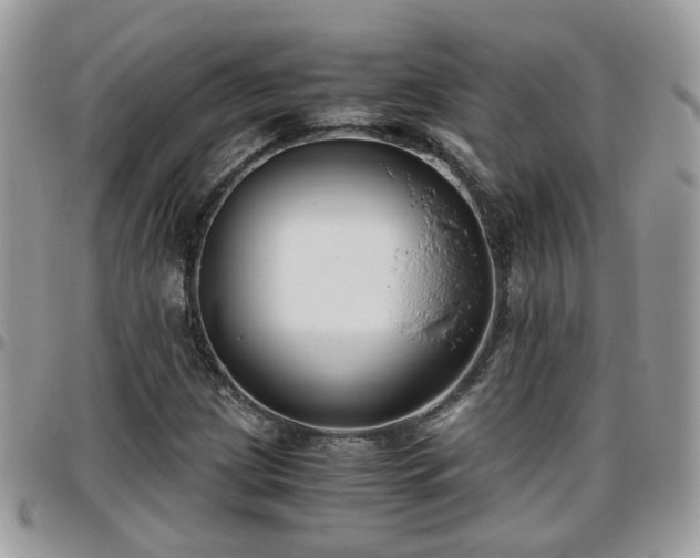 X0000095911209200801181348