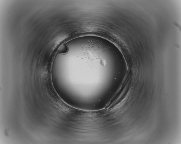 X0000095911210200801181348