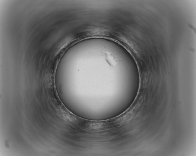 X0000095911211200801181348