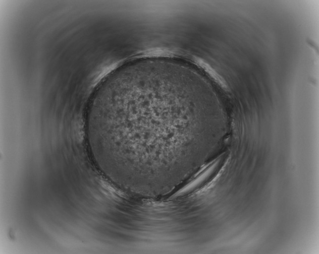 X0000095911213200801181348