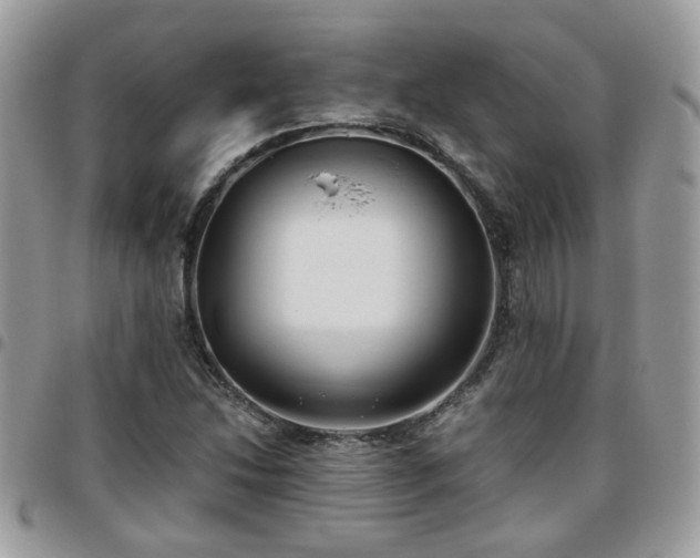 X0000095911214200801181348