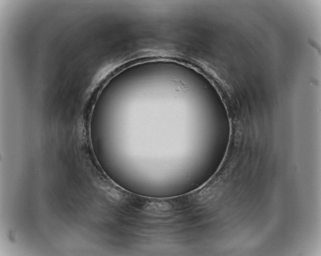 X0000095911215200801181348