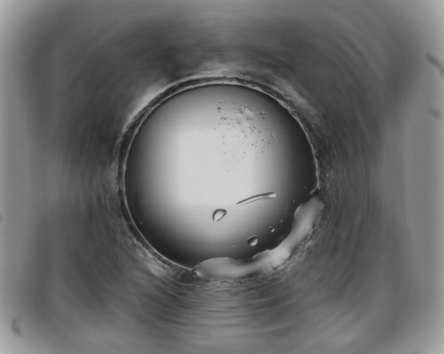 X0000095911216200801181348