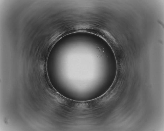 X0000095911217200801181348