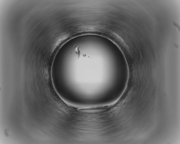 X0000095911218200801181348