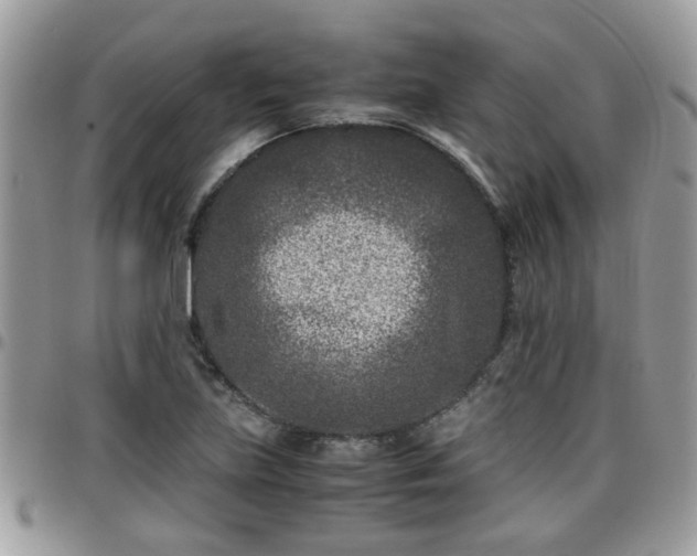 X0000095911219200801181348