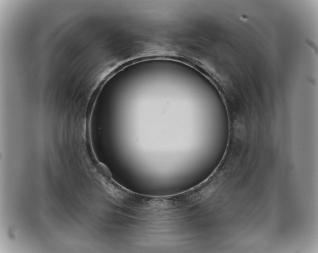 X0000095911220200801181348