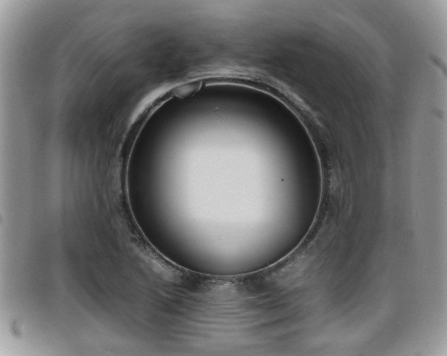 X0000095911222200801181348