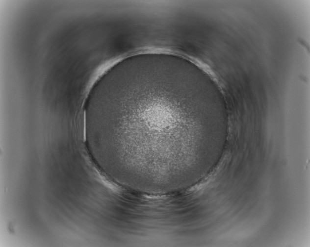 X0000095911223200801181348