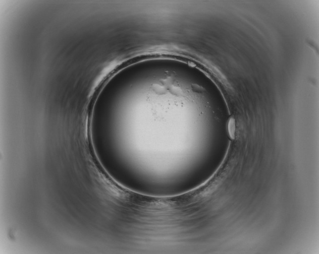 X0000095911224200801181348