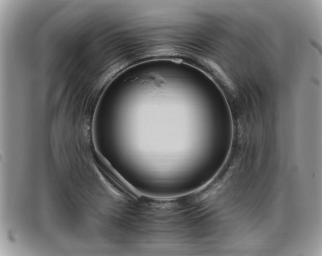 X0000095911225200801181348