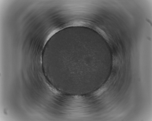 X0000095911226200801181348